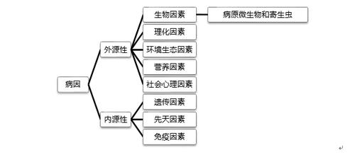 生理病理笔记一截图